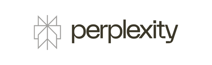 Perplexity LLMO GEO Agentur Wiesbaden logo